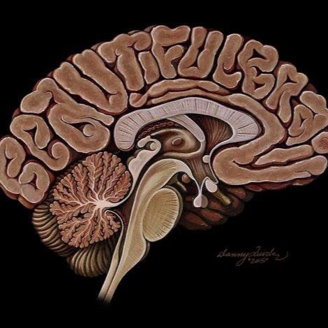 neuroscience